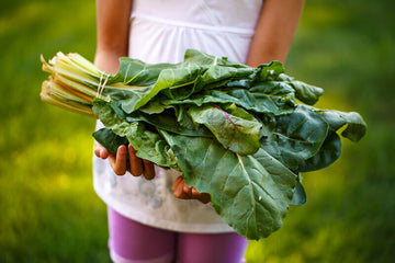 Food Justice and the Environment