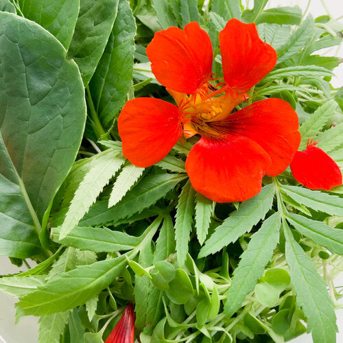 Farmer's Choice - Mix