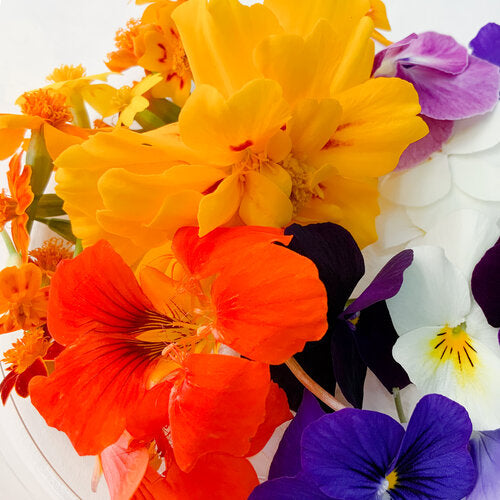 Discovery Mix - Edible Flowers