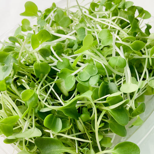 Broccoli + Brassica Mix- WEEKLY SUBSCRIPTION