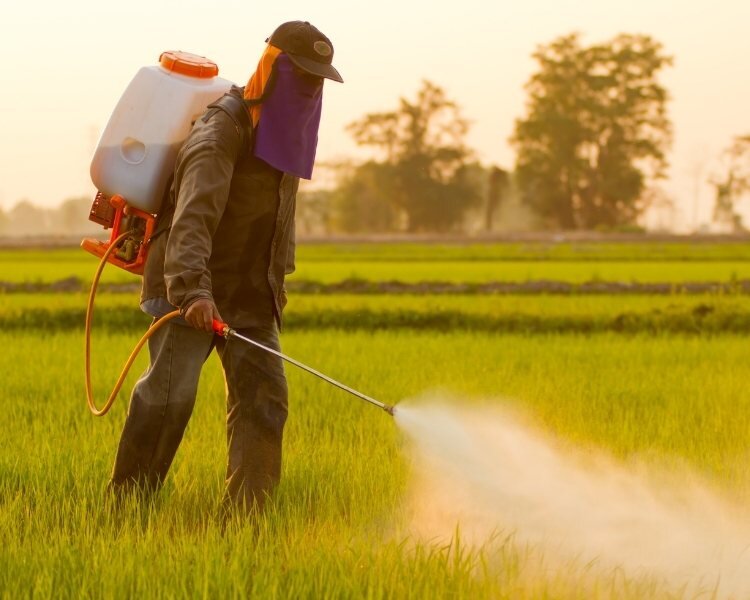 What's The Deal With Pesticides?