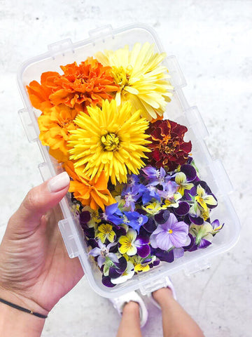 How to Properly Store and Take Care of Your Edible Flowers