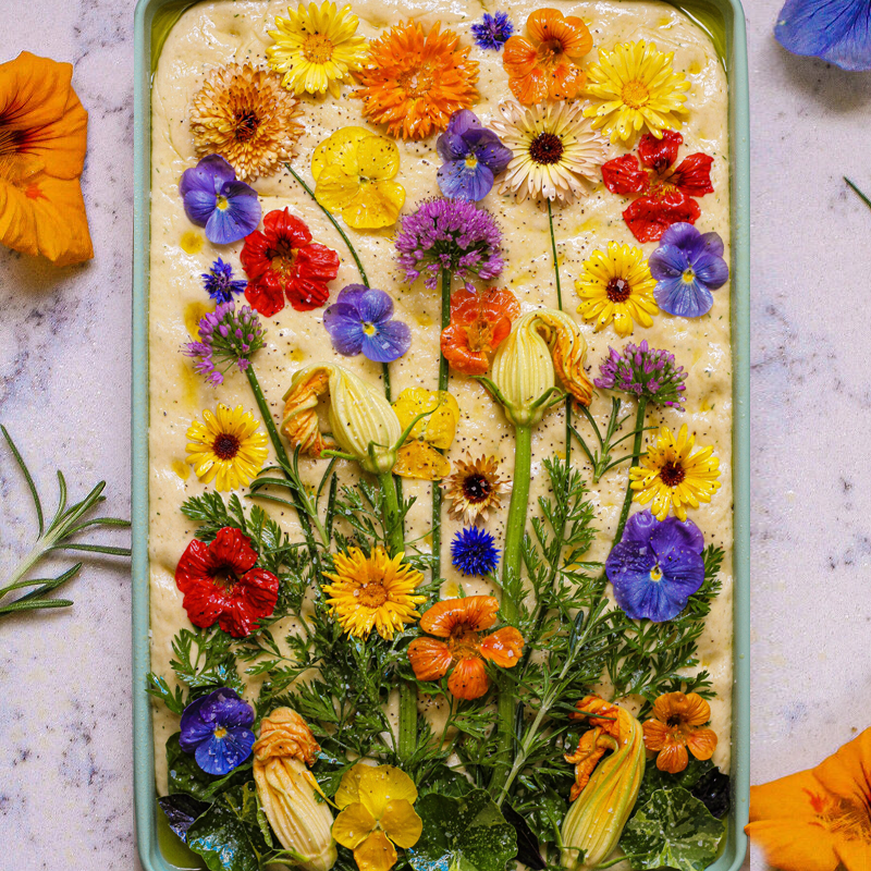 Easy-to-Follow Edible Flower Recipes
