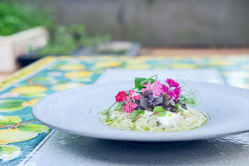 Microgreen Pesto and Burrata Risotto