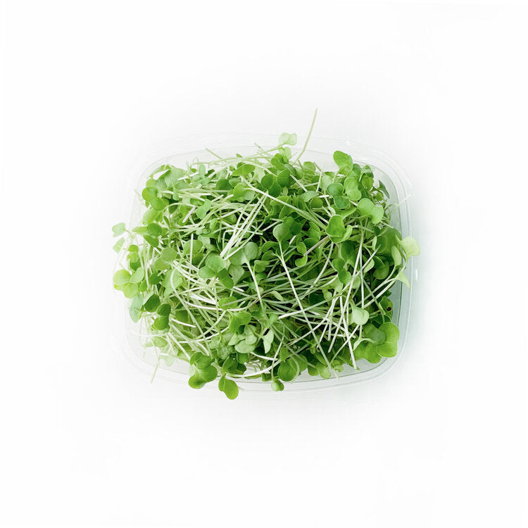 Micro Broccoli- WEEKLY SUBSCRIPTION