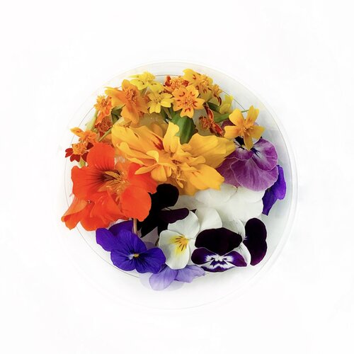 Discovery Mix - Edible Flowers
