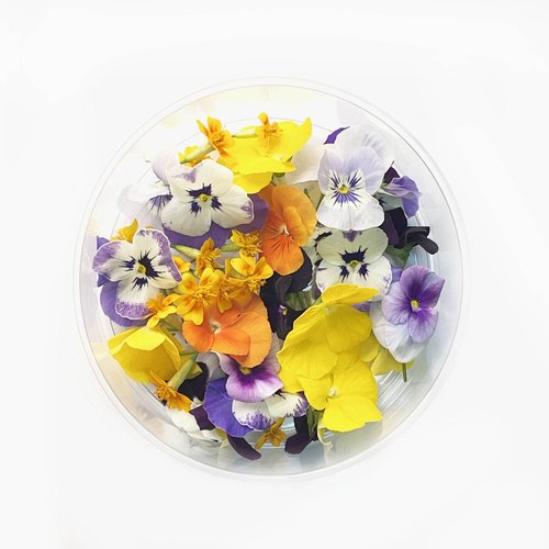 Viola mix Edible Flowers